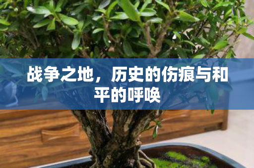 战争之地,历史的伤痕与和平的呼唤 战争之地,历史的伤痕与和平的呼唤