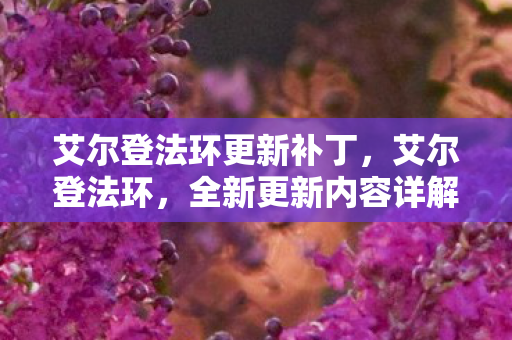 艾尔登法环更新补丁，艾尔登法环，全新更新内容详解