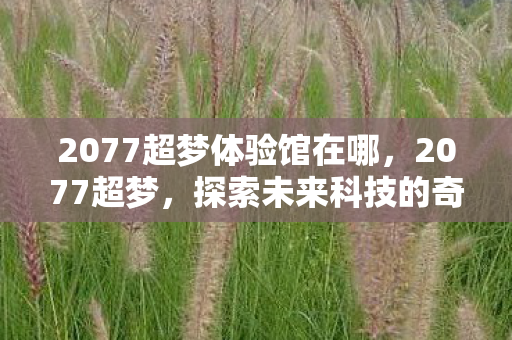 2077超梦体验馆在哪，2077超梦，探索未来科技的奇妙之旅