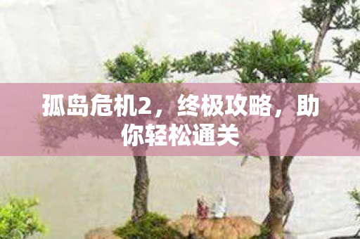 孤岛危机2，终极攻略，助你轻松通关