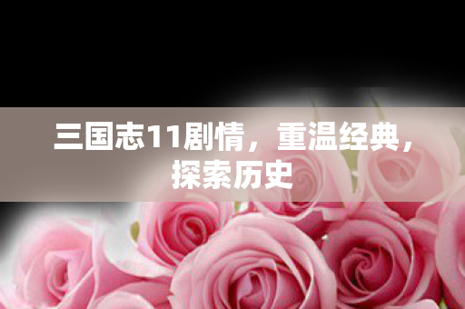 三国志11剧情，重温经典，探索历史