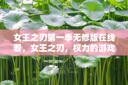 女王之刃第一季无修版在线看，女王之刃，权力的游戏，欲望的交织