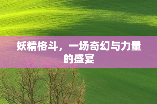 妖精格斗，一场奇幻与力量的盛宴
