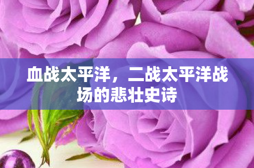 血战太平洋,二战太平洋战场的悲壮史诗 血战太平洋,二战太平洋战场的悲壮史诗
