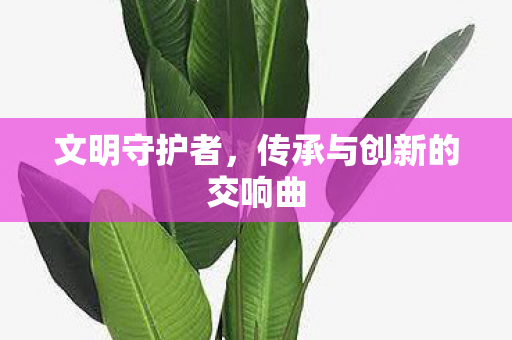 文明守护者，传承与创新的交响曲
