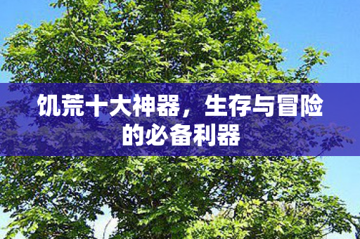 饥荒十大神器，生存与冒险的必备利器