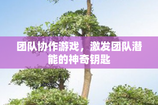 团队协作游戏，激发团队潜能的神奇钥匙
