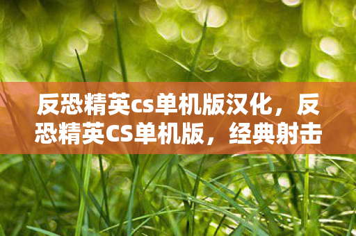 反恐精英cs单机版汉化，反恐精英CS单机版，经典射击游戏的离线狂欢