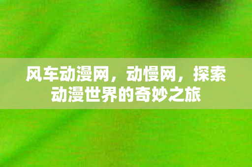 风车动漫网，动慢网，探索动漫世界的奇妙之旅