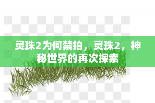 灵珠2为何禁拍，灵珠2，神秘世界的再次探索