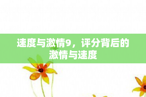 速度与激情9，评分背后的激情与速度