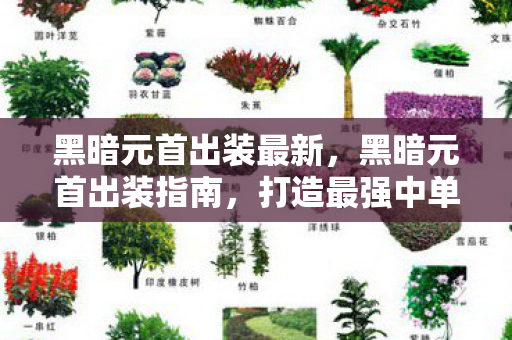 黑暗元首出装最新,黑暗元首出装指南,打造最强中单法师 黑暗元首出装最新,黑暗元首出装指南,打造最强中单法师