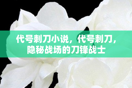 代号刺刀小说，代号刺刀，隐秘战场的刀锋战士