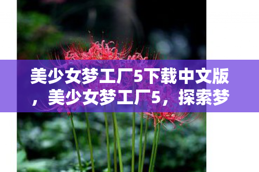 美少女梦工厂5下载中文版，美少女梦工厂5，探索梦幻世界的奇妙之旅