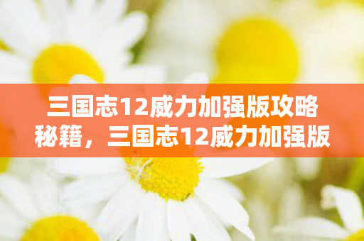 三国志12威力加强版攻略秘籍，三国志12威力加强版攻略，打造你的霸主之路