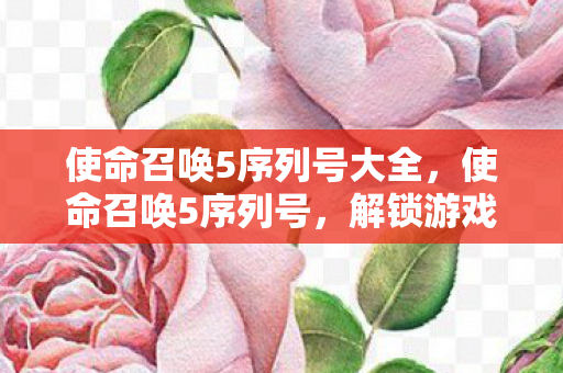 使命召唤5序列号大全，使命召唤5序列号，解锁游戏世界的钥匙