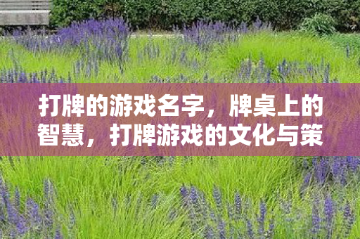 打牌的游戏名字，牌桌上的智慧，打牌游戏的文化与策略