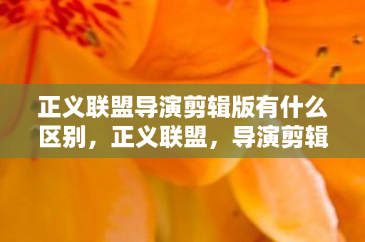 正义联盟导演剪辑版有什么区别，正义联盟，导演剪辑版的深度解析