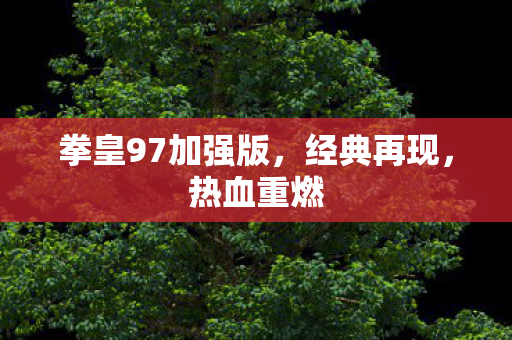 拳皇97加强版，经典再现，热血重燃