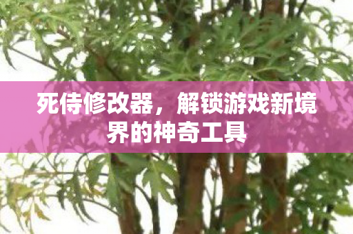 死侍修改器，解锁游戏新境界的神奇工具