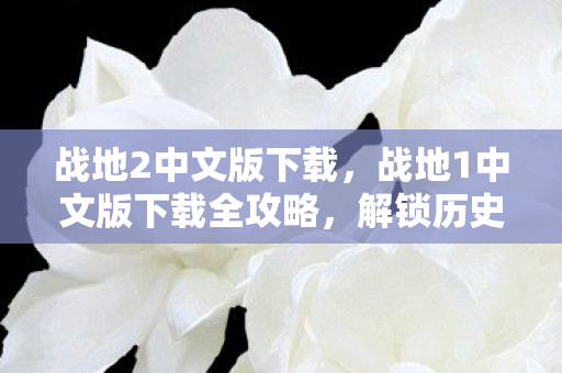 战地2中文版下载，战地1中文版下载全攻略，解锁历史战场的激情