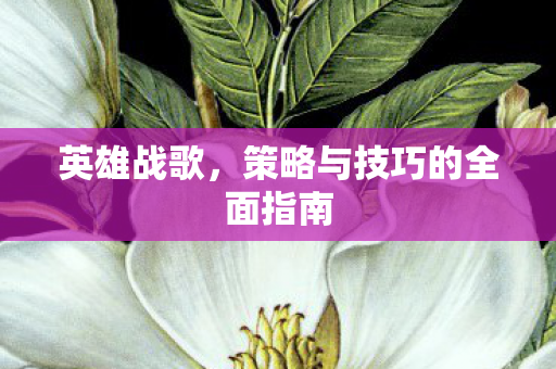 英雄战歌,策略与技巧的全面指南 英雄战歌,策略与技巧的全面指南