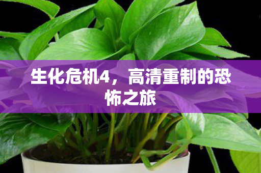 生化危机4，高清重制的恐怖之旅