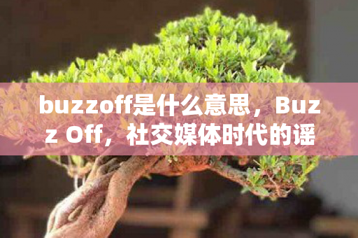 buzzoff是什么意思，Buzz Off，社交媒体时代的谣言与真相