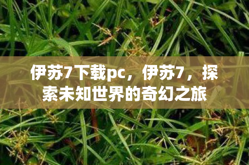 伊苏7下载pc,伊苏7,探索未知世界的奇幻之旅 伊苏7下载pc,伊苏7,探索未知世界的奇幻之旅