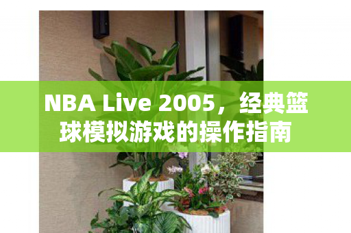 NBA Live 2005，经典篮球模拟游戏的操作指南