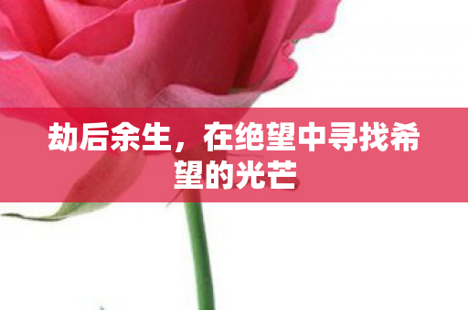 劫后余生，在绝望中寻找希望的光芒
