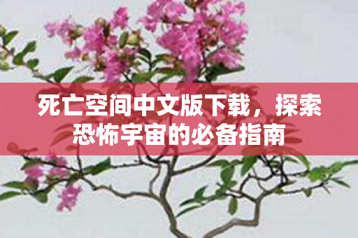 死亡空间中文版下载，探索恐怖宇宙的必备指南