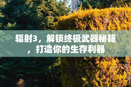辐射3，解锁终极武器秘籍，打造你的生存利器