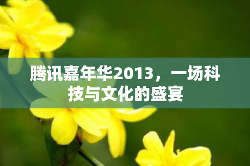 腾讯嘉年华2013，一场科技与文化的盛宴