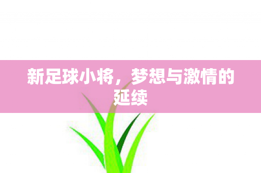新足球小将,梦想与激情的延续 新足球小将,梦想与激情的延续