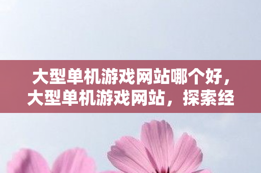 大型单机游戏网站哪个好，大型单机游戏网站，探索经典，尽享游戏盛宴