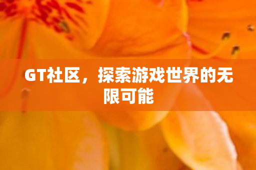 GT社区，探索游戏世界的无限可能