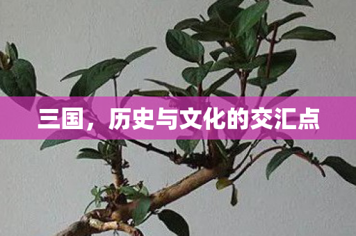 三国,历史与文化的交汇点 三国,历史与文化的交汇点