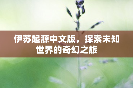 伊苏起源中文版，探索未知世界的奇幻之旅