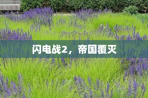 闪电战2，帝国覆灭