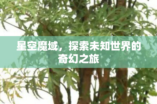 星空魔域，探索未知世界的奇幻之旅