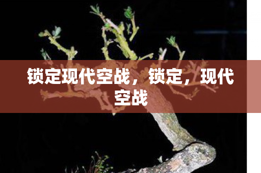 锁定现代空战，锁定，现代空战