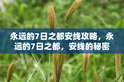 永远的7日之都安线攻略，永远的7日之都，安线的秘密与奇迹