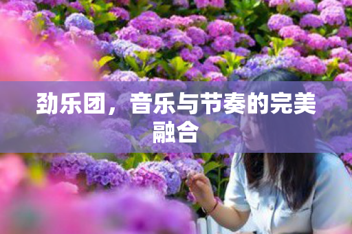 劲乐团，音乐与节奏的完美融合