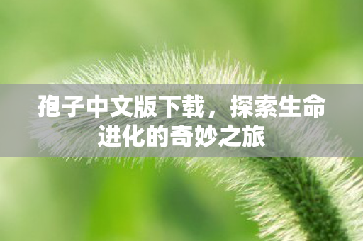 孢子中文版下载，探索生命进化的奇妙之旅