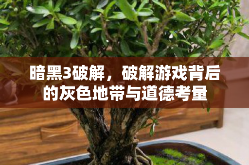 暗黑3破解，破解游戏背后的灰色地带与道德考量
