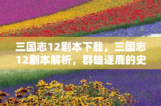 三国志12剧本下载，三国志12剧本解析，群雄逐鹿的史诗篇章