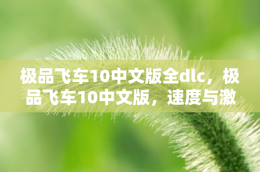 极品飞车10中文版全dlc，极品飞车10中文版，速度与激情的极致体验