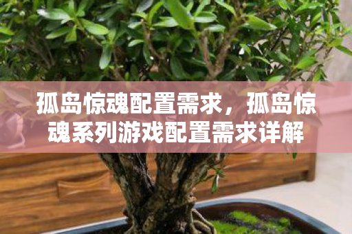 孤岛惊魂配置需求，孤岛惊魂系列游戏配置需求详解