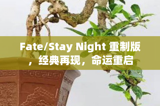 Fate/Stay Night 重制版,经典再现,命运重启 Fate/Stay Night 重制版,经典再现,命运重启